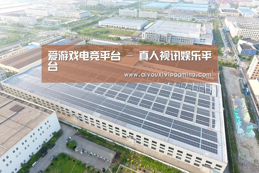 案例展示一