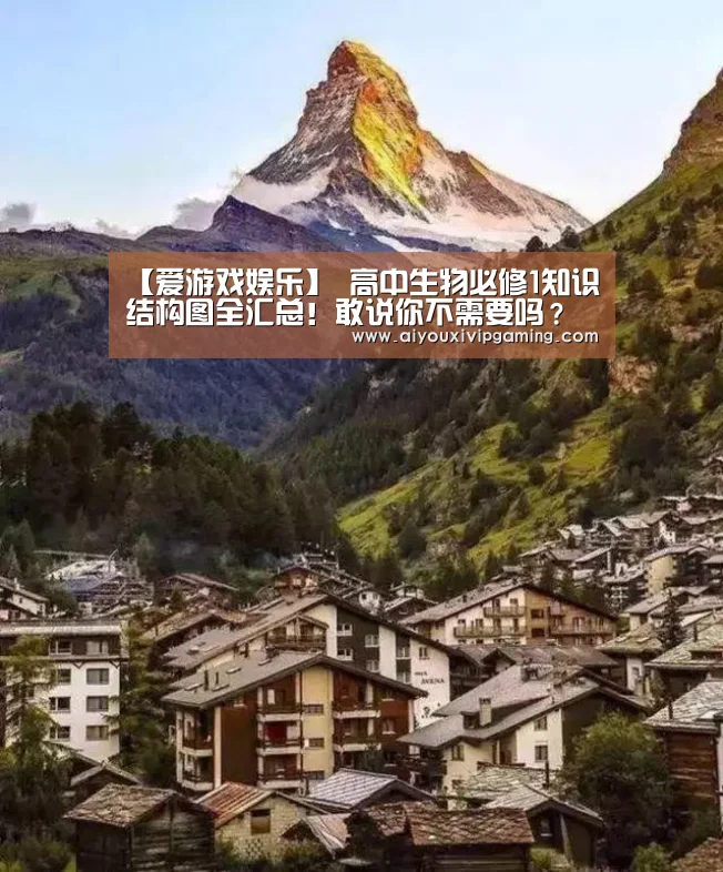 爱游戏娱乐