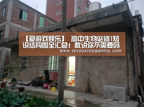 爱游戏娱乐