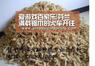 爱游戏百家乐