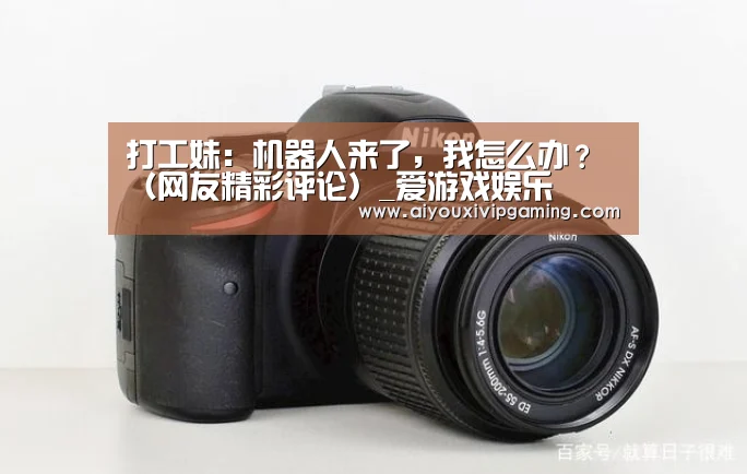 爱游戏百家乐