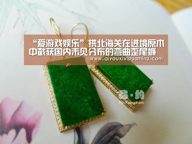 “爱游戏娱乐”拱北海关在进境原木中截获国内未见分布的弯曲歪尾蠊(图3) 爱游戏百家乐