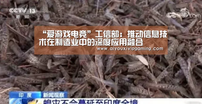 “爱游戏电竞”工信部:推动信息技术在制造业中的深度应用融合(图3) 爱游戏娱乐