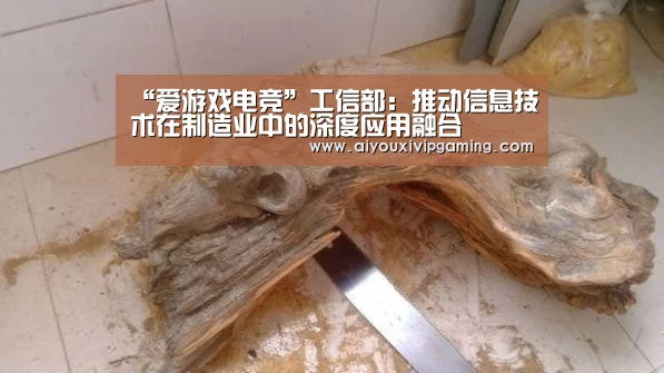 “爱游戏电竞”工信部:推动信息技术在制造业中的深度应用融合(图1) 爱游戏电竞