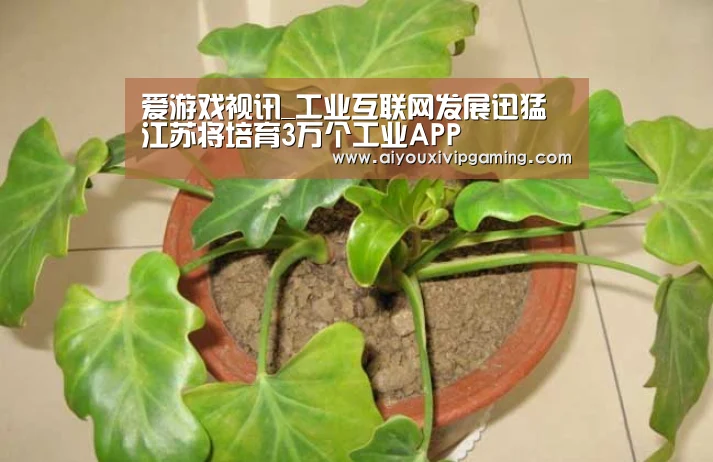 爱游戏电竞