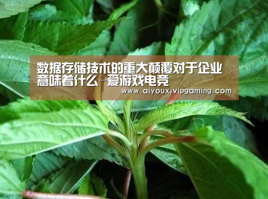 爱游戏电竞